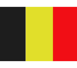 Belgische vlag 20x30